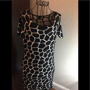 Talbots Animal Print Dress